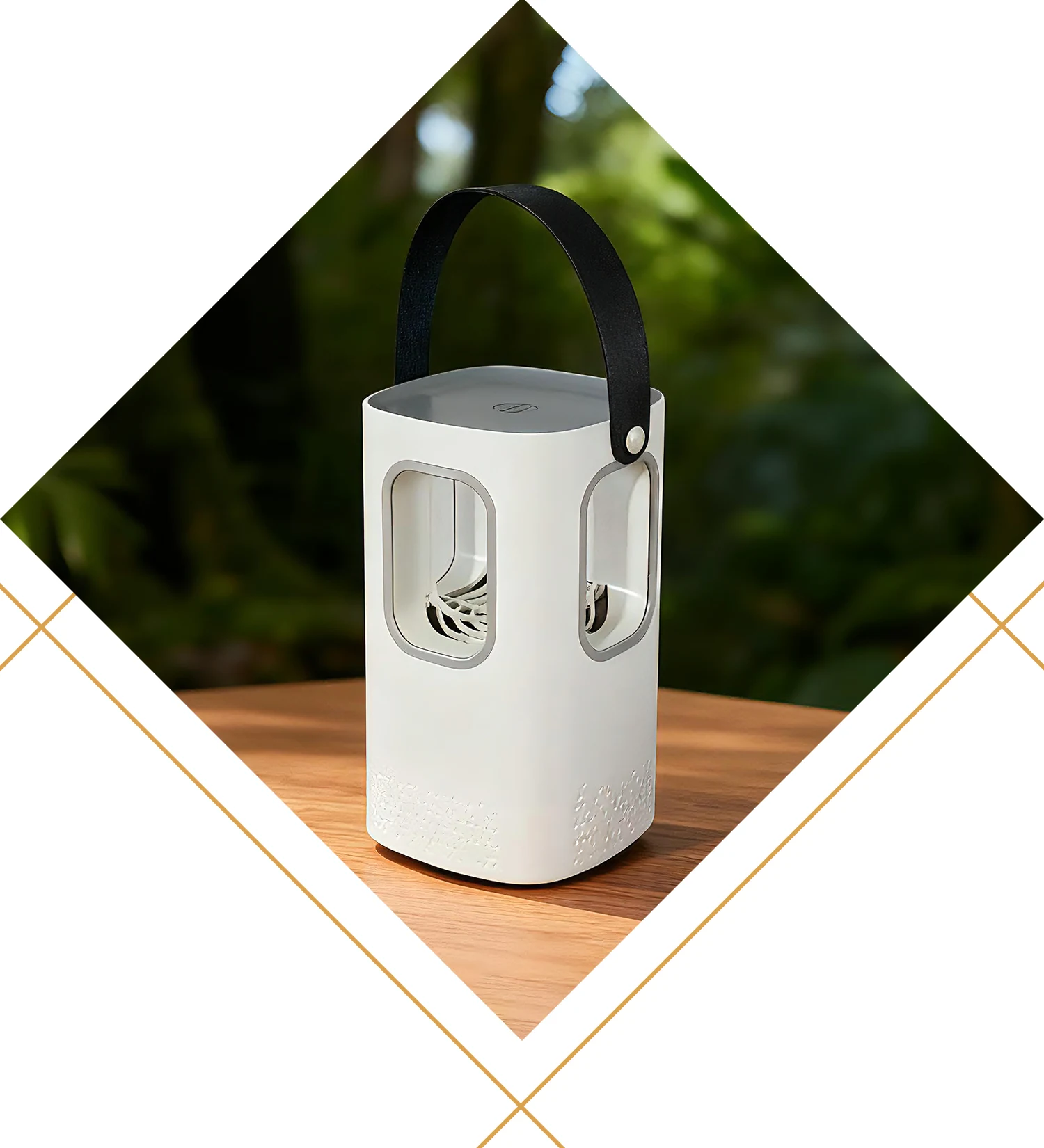 Ağcaqanad Ağcaqanad